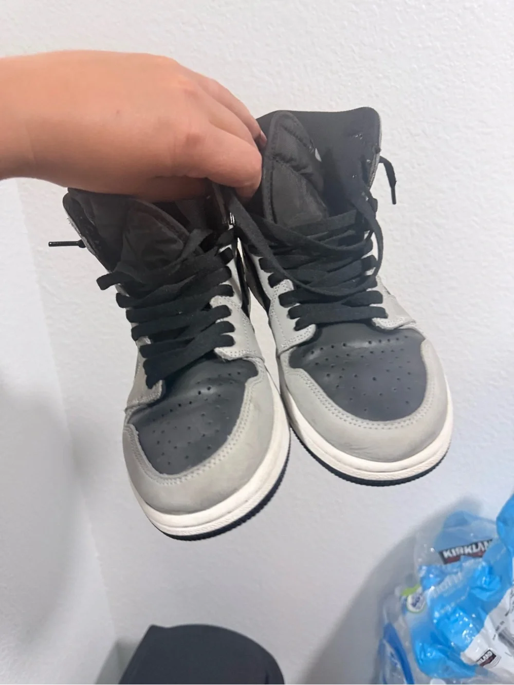 Jordan retro 1 high shadow 2.0